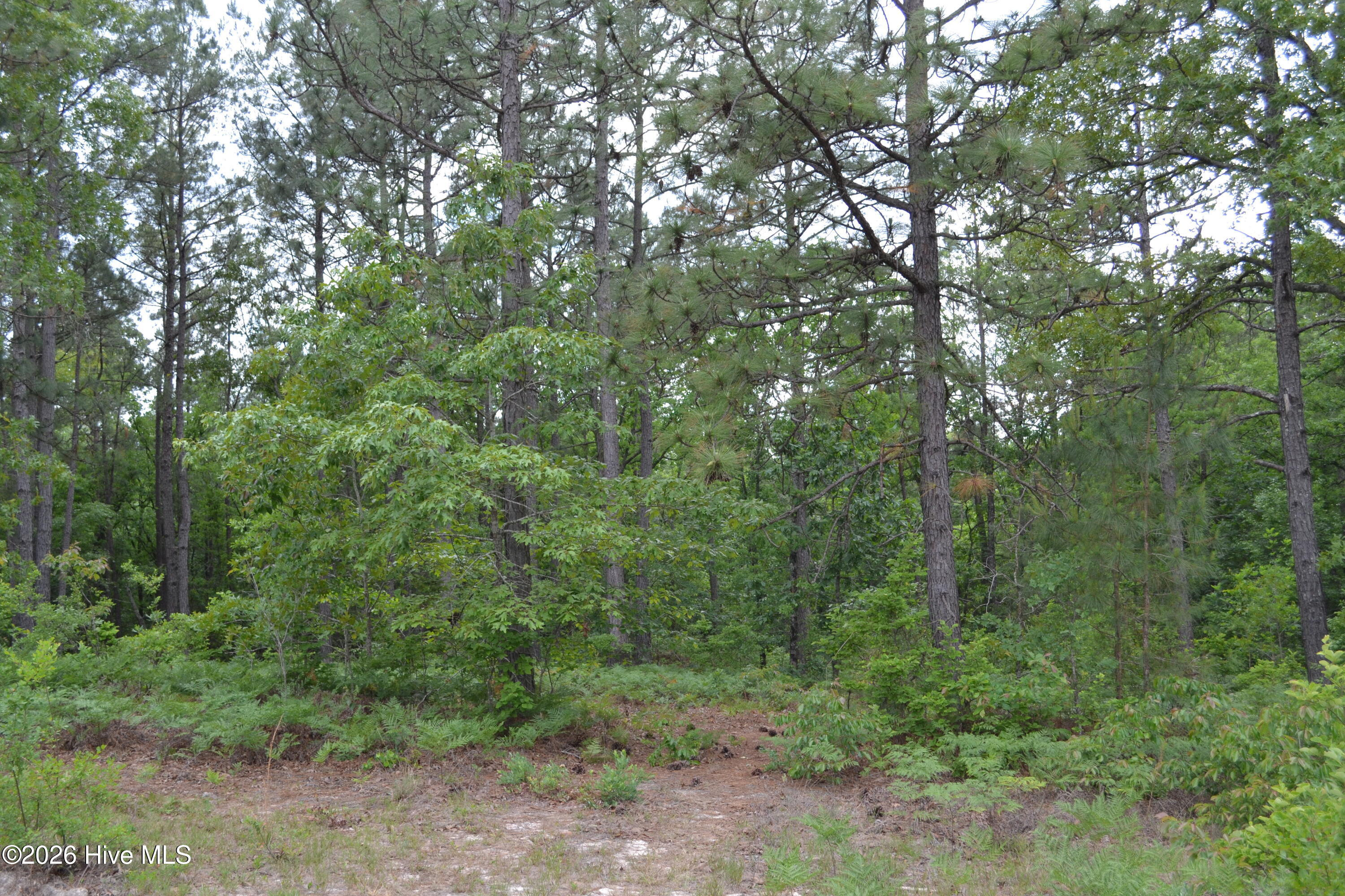 0 Old Barnwell Road Aiken, SC 29803 - Photo 17 of 20 Old Barnwell Rd (33)