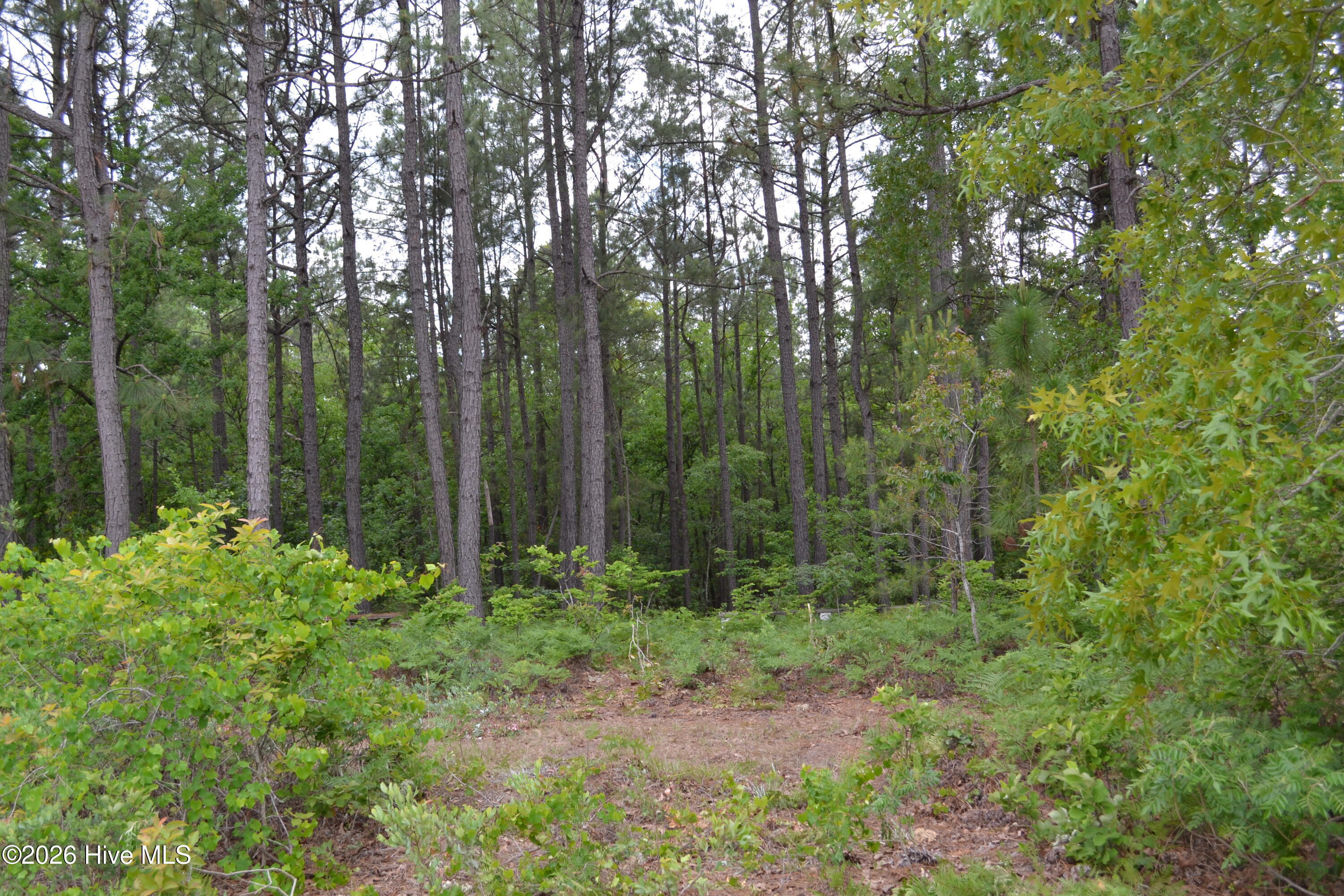 0 Old Barnwell Road Aiken, SC 29803 - Photo 18 of 20 Old Barnwell Rd (29)