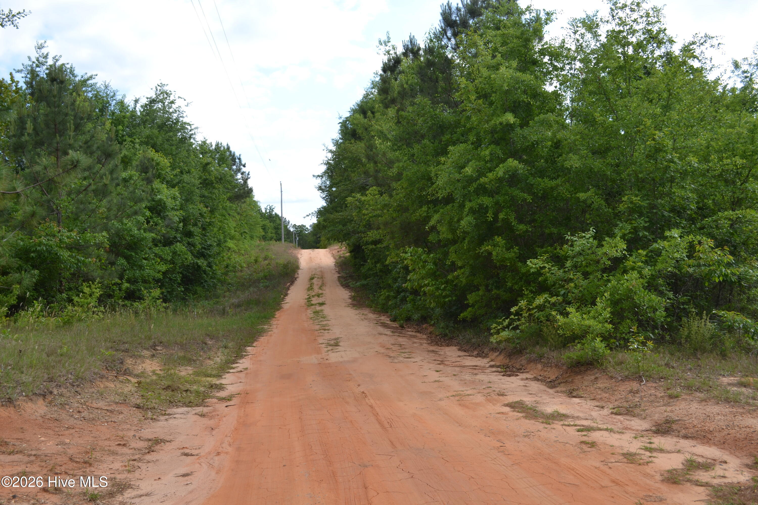 0 Old Barnwell Road Aiken, SC 29803 - Photo 20 of 20 Private lane for property owners.