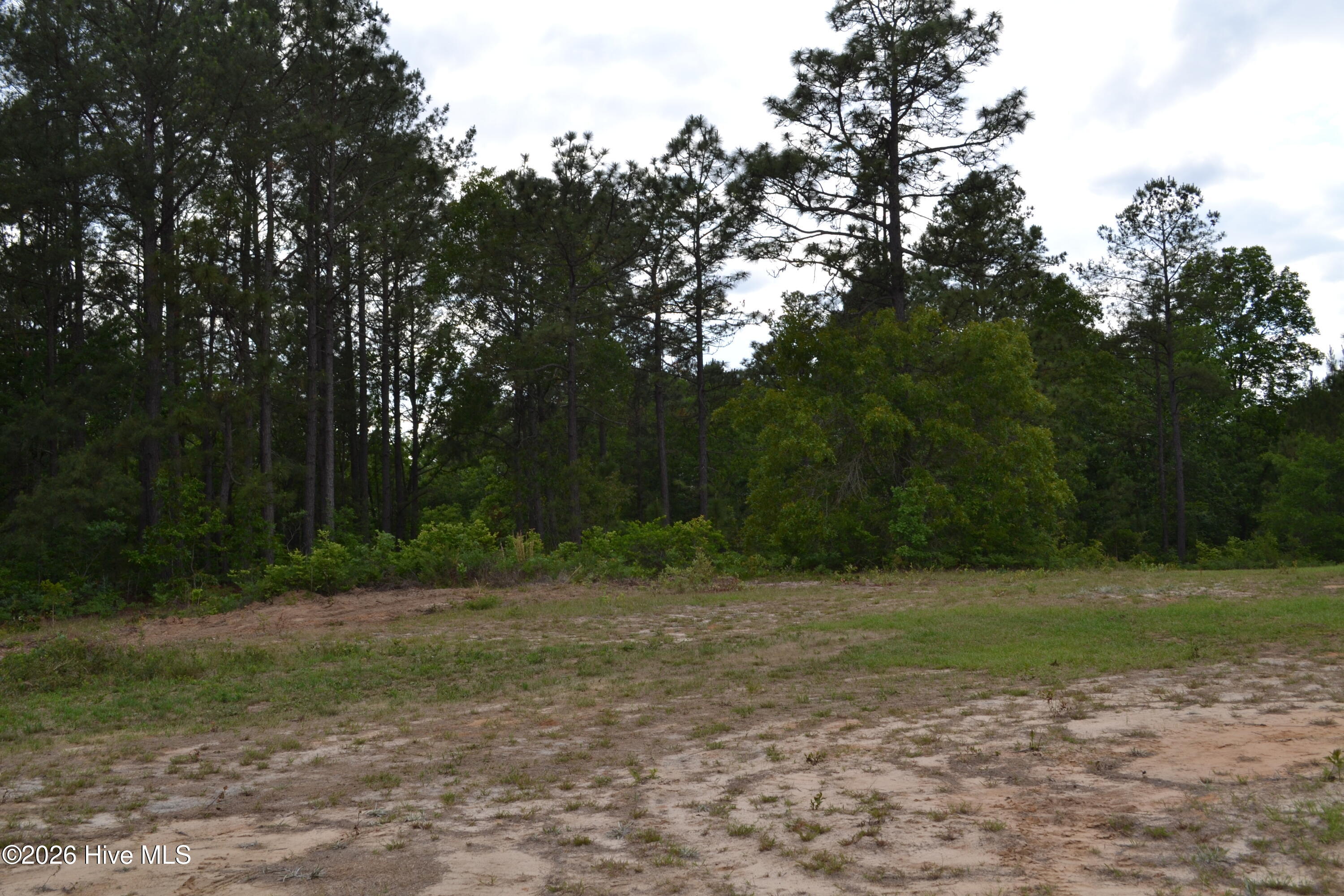 0 Old Barnwell Road Aiken, SC 29803 - Photo 6 of 20 Old Barnwell Rd (28)