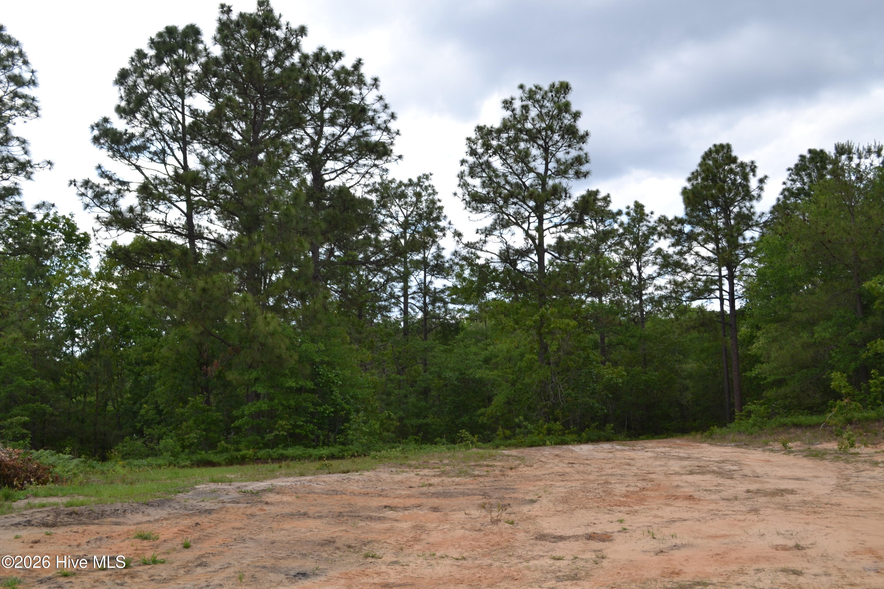 0 Old Barnwell Road Aiken, SC 29803 - Photo 7 of 20 Old Barnwell Rd (35)