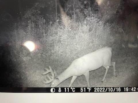 10466 Goodrich Road Lachine, MI 49753 - Photo 27 of 31 Gallery Image 27