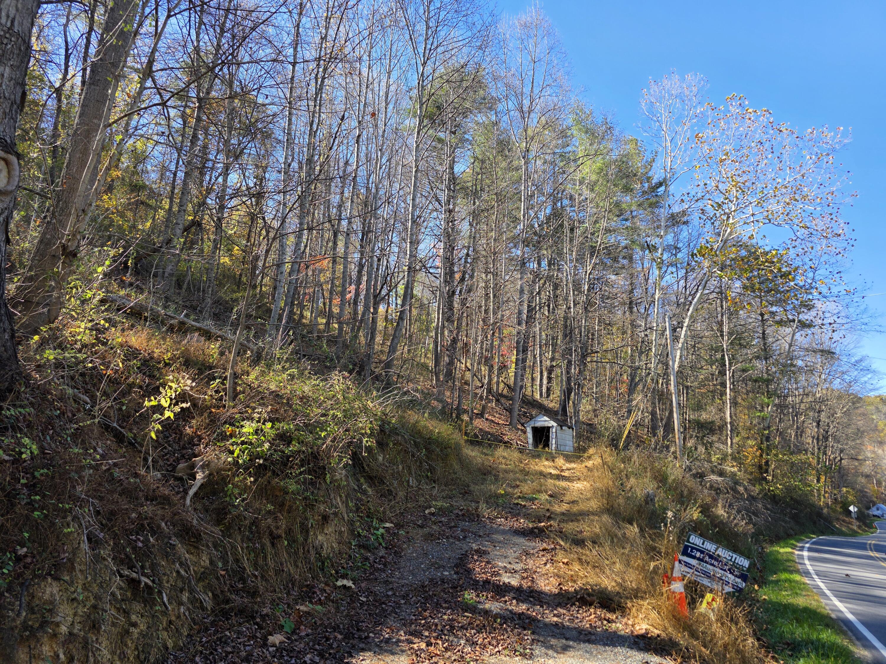 0 Pilot Road Riner, VA 24149 - Photo 2 of 6 a backyard of a house with lots of green space