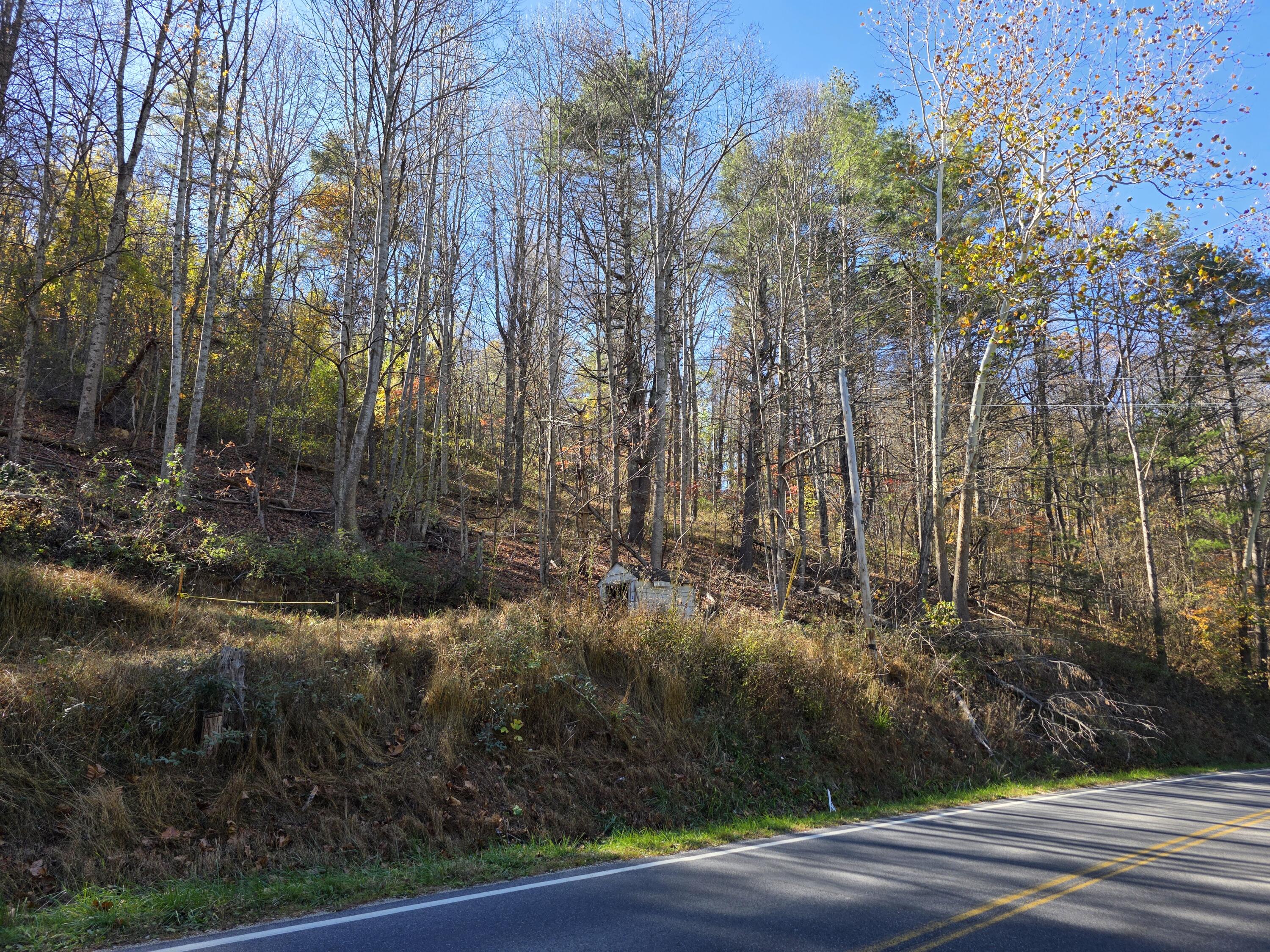 0 Pilot Road Riner, VA 24149 - Photo 4 of 6 a view of a yard and trees