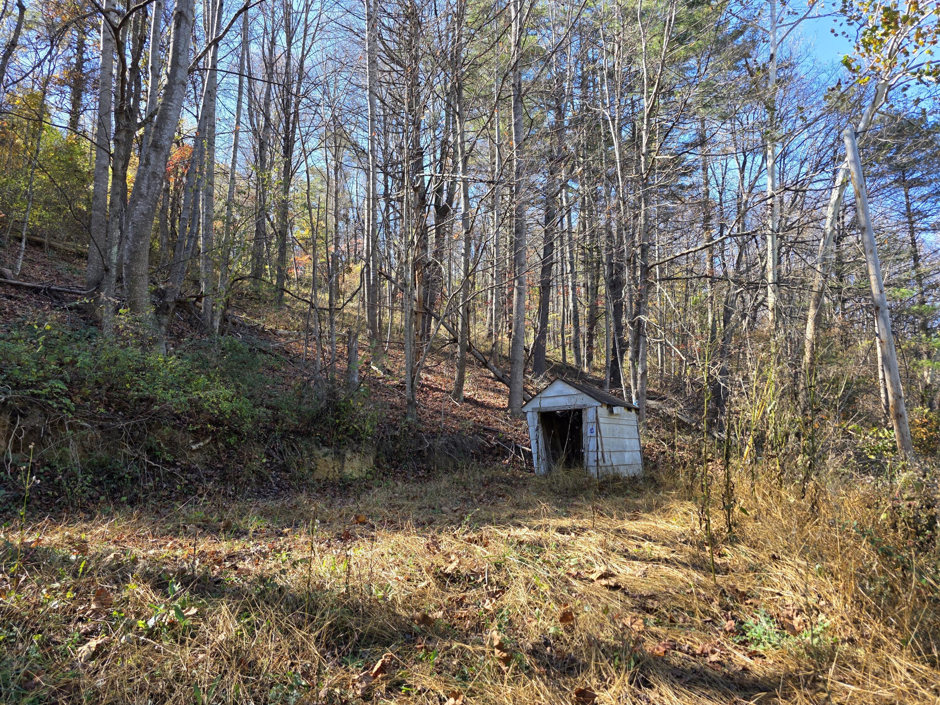 0 Pilot Road Riner, VA 24149 - Photo 6 of 6 a backyard of a house with lots of green space