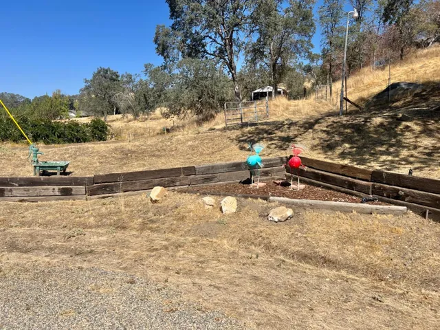 a view of a park with large trees