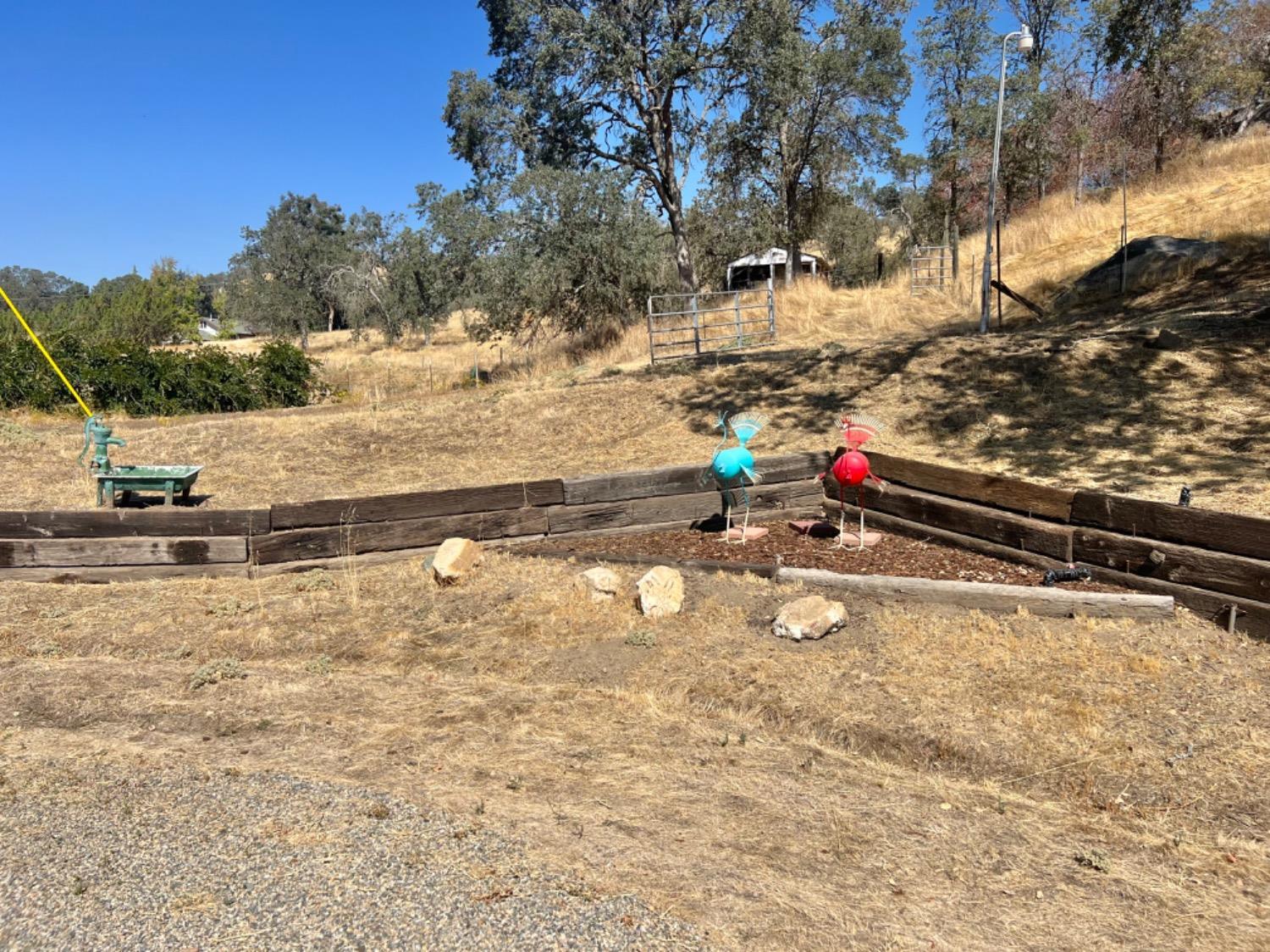 33188 George Smith Road Squaw Valley, CA 93675 - Photo 21 of 43 a view of a park with large trees