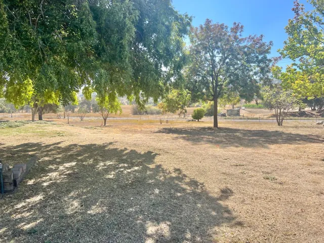 a backyard of apartments with large trees