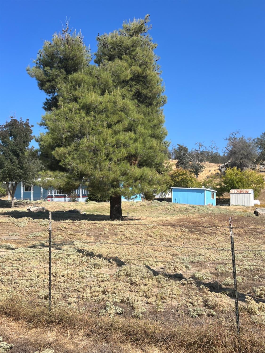 33188 George Smith Road Squaw Valley, CA 93675 - Photo 25 of 43 a view of a yard