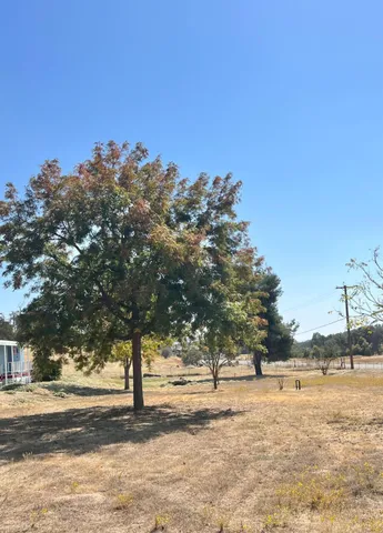 a view of a swimming pool with a yard