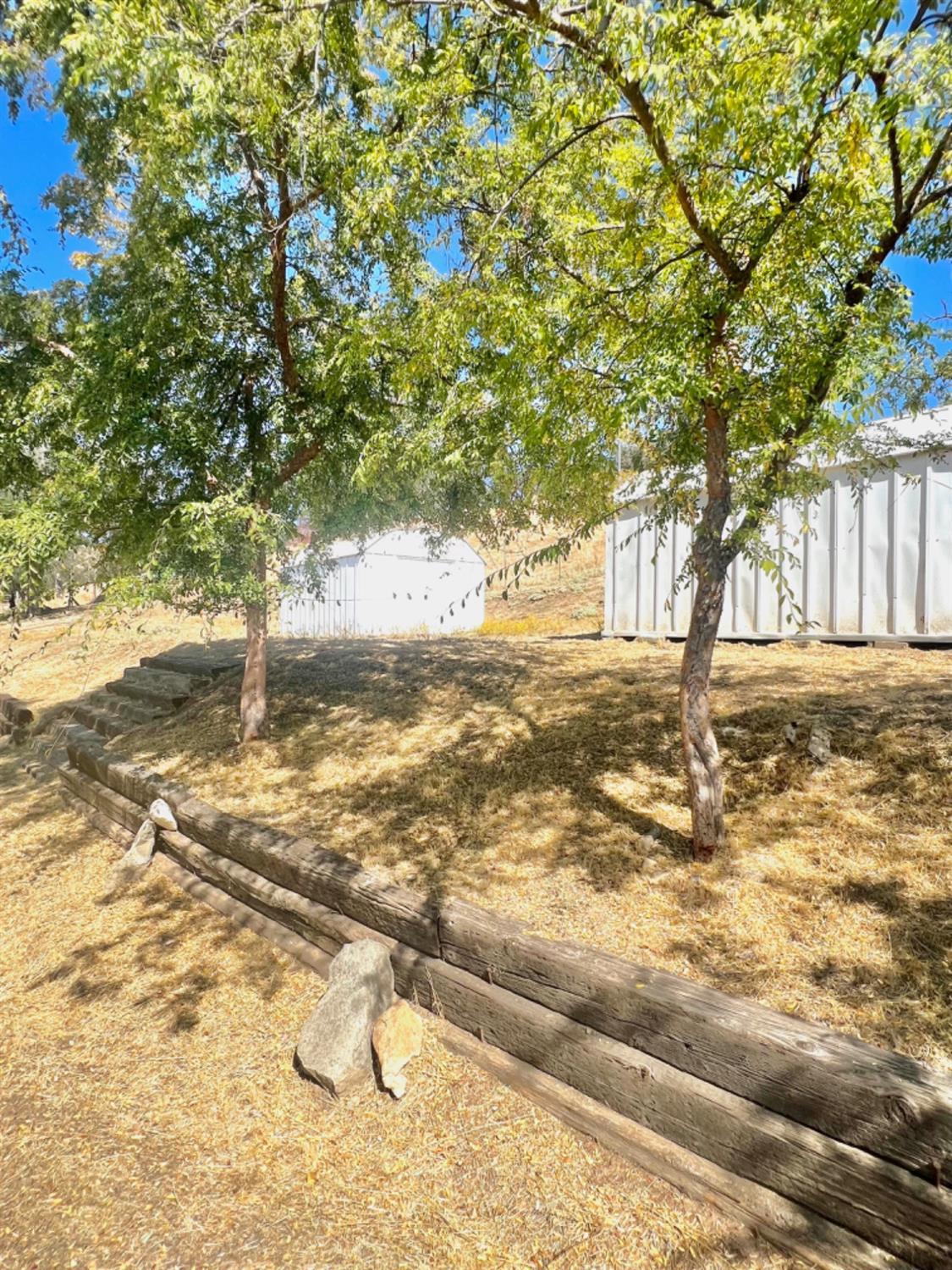 33188 George Smith Road Squaw Valley, CA 93675 - Photo 39 of 43 a view of yard