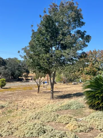 a view of outdoor space with swimming pool