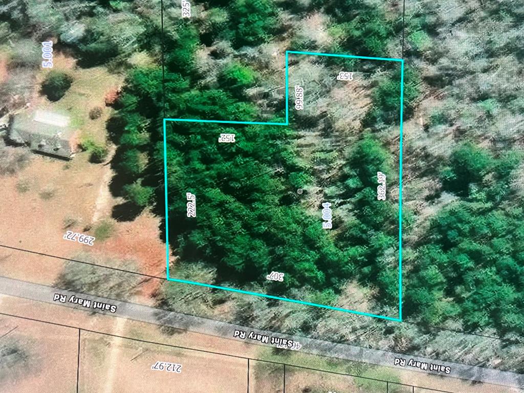 765 St Mary Road Cottonwood, AL 36320 - Photo 1 of 2