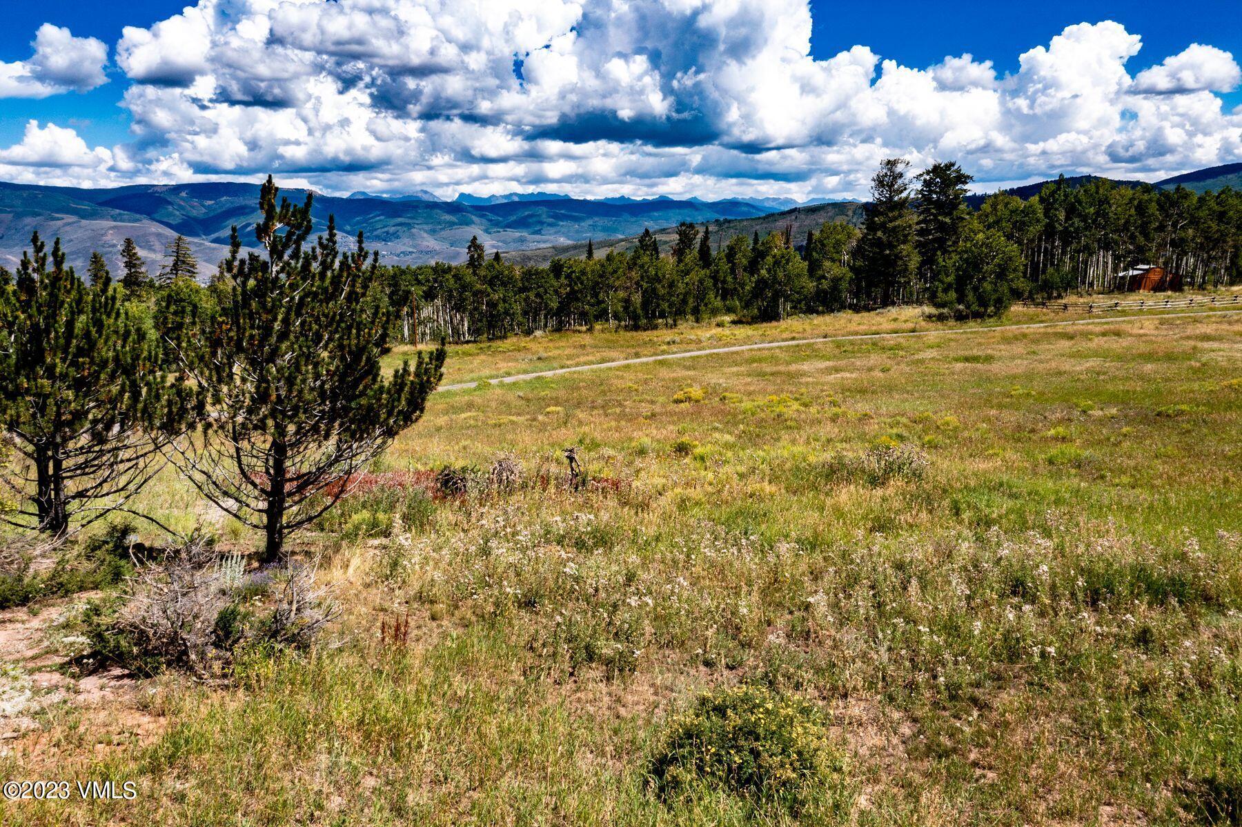 2420 Colorow Road Edwards, CO 81632 - Photo 12 of 13 photo_online_014
