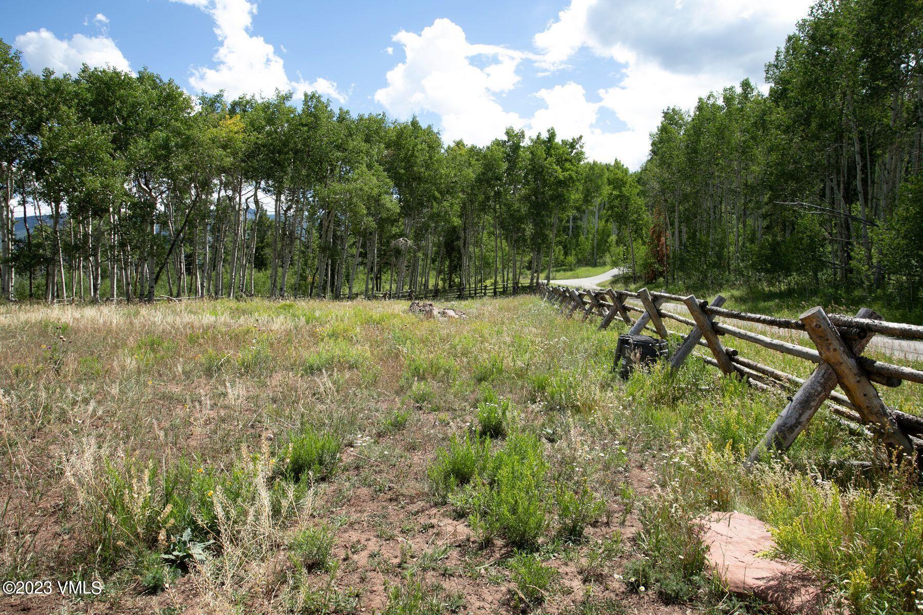 2420 Colorow Road Edwards, CO 81632 - Photo 4 of 13 photo_online_006
