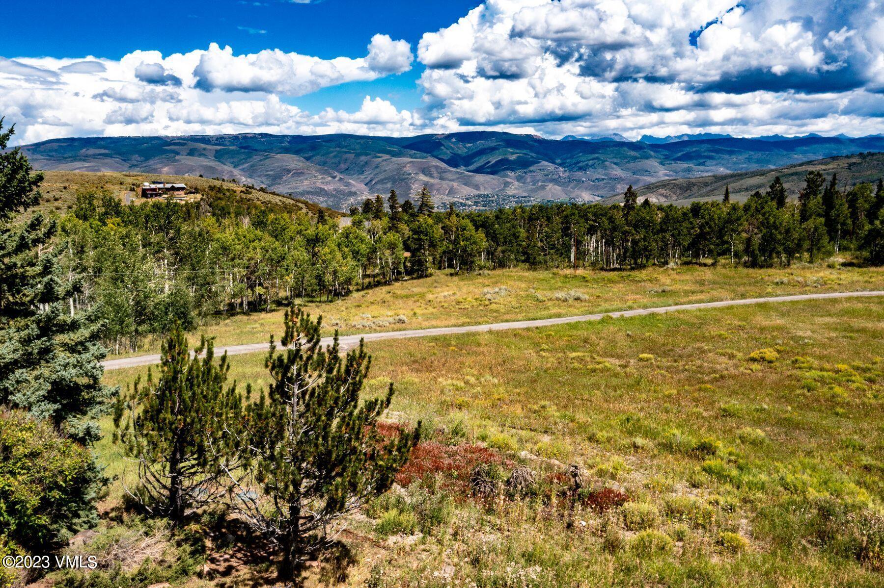 2420 Colorow Road Edwards, CO 81632 - Photo 6 of 13 photo_online_008
