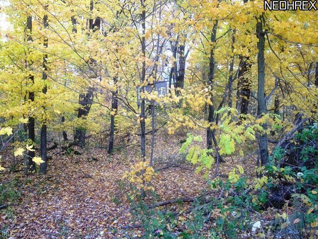 1077 Fixler Road Wadsworth, OH 44281 - Photo 19 of 24
