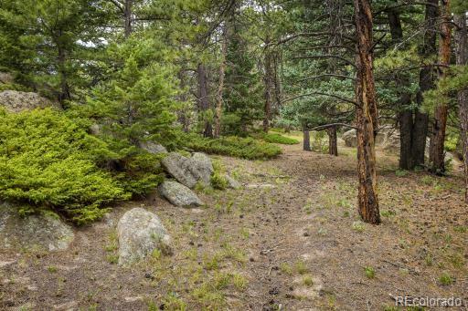 101 Chute Road Golden, CO 80403 - Photo 11 of 23 Gallery Image 11