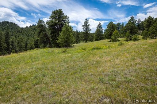 101 Chute Road Golden, CO 80403 - Photo 5 of 23 Gallery Image 5
