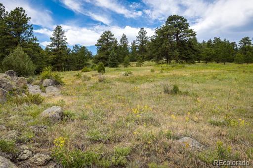 101 Chute Road Golden, CO 80403 - Photo 7 of 23 Gallery Image 7