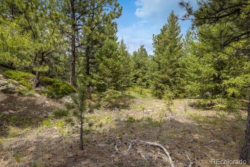 101 Chute Road Golden, CO 80403 - Photo 8 of 23 Gallery Image 8