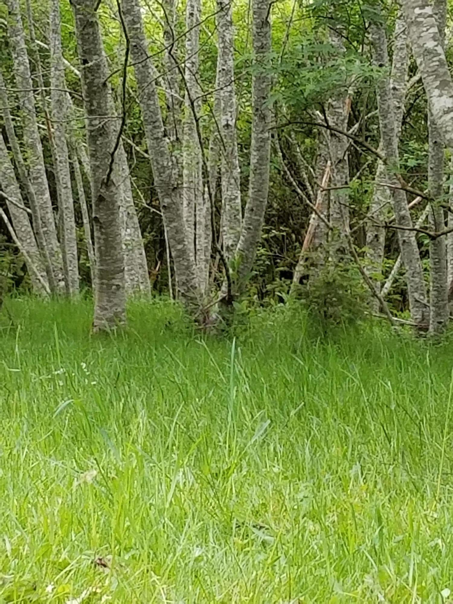 Tl#200 North North Bank Road Otis, OR 97368 - Photo 3 of 9 20180517_143451