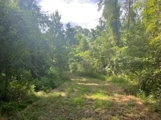 $165,000 | Tract A Big Lake Road, Pineville, LA 71360