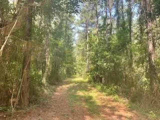 $165,000 | Tract A Big Lake Road, Pineville, LA 71360