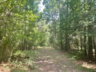 $165,000 | Tract A Big Lake Road, Pineville, LA 71360