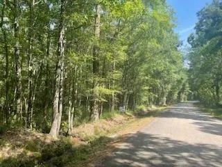 $165,000 | Tract A Big Lake Road, Pineville, LA 71360
