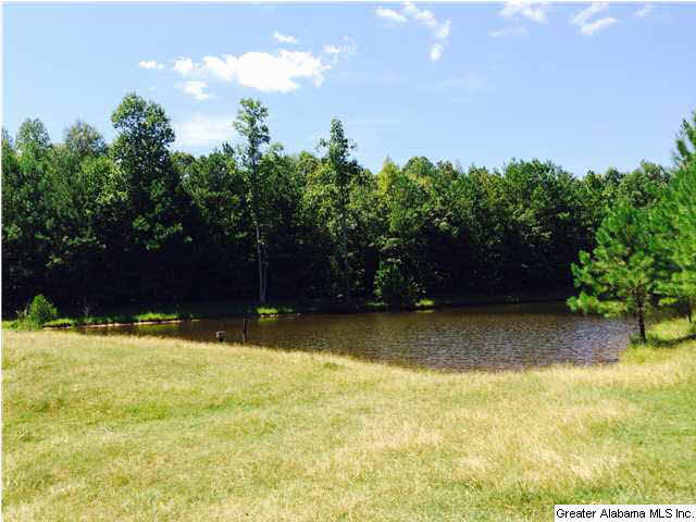 2335 Holmans Cross Road Sylacauga, AL 35150 - Photo 2 of 16
