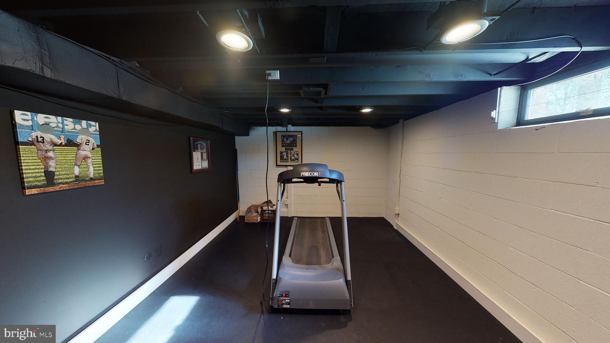 3985 Ruckman Way Doylestown, PA 18902 - Photo 46 of 51 Additional downstairs exercise room