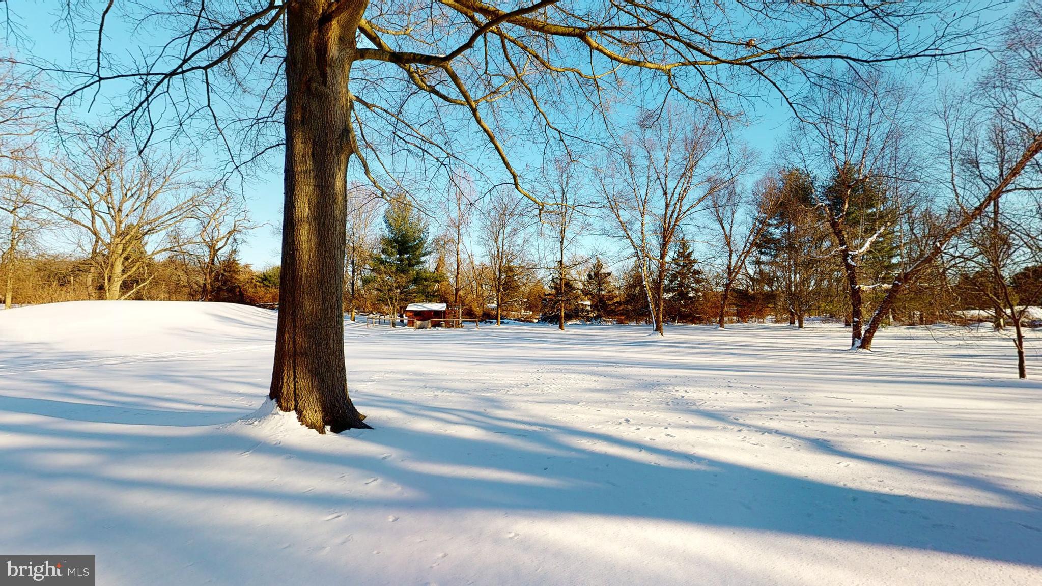 3985 Ruckman Way Doylestown, PA 18902 - Photo 49 of 51 Yard backs to 18 acre farm
