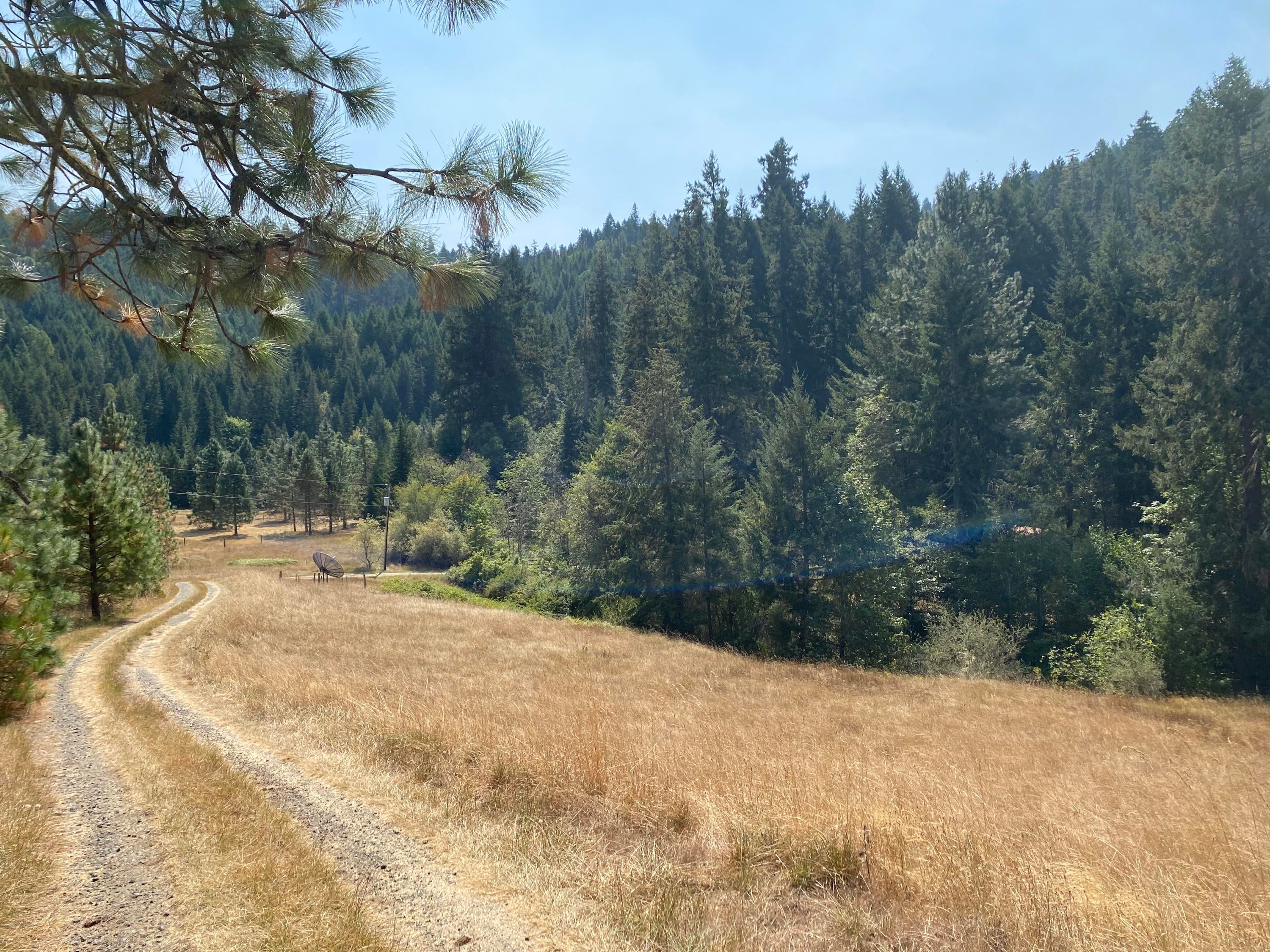 19021 Upper Cow Creek Road Azalea, OR 97410 - Photo 4 of 37 image00001