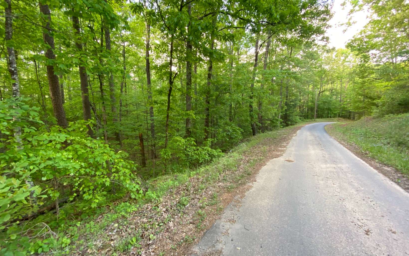 Tbd Orton Road Murphy, NC 28906 - Photo 1 of 2 Main View