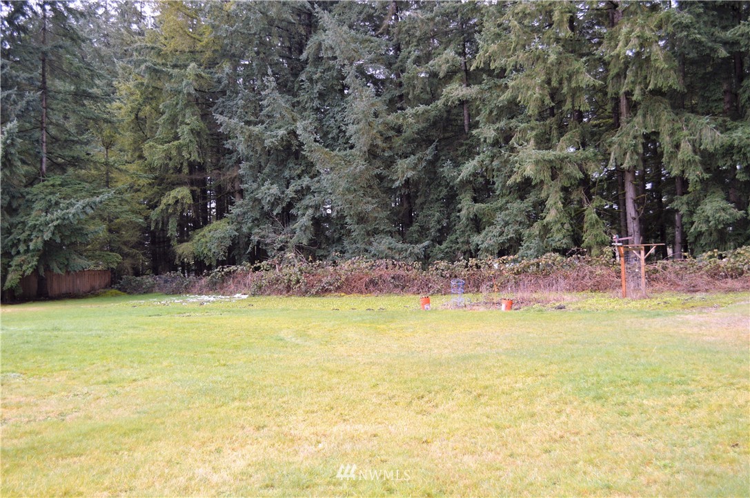 19129 Loganberry Street Southwest Rochester, WA 98579 - Photo 22 of 25 a view of an ocean view