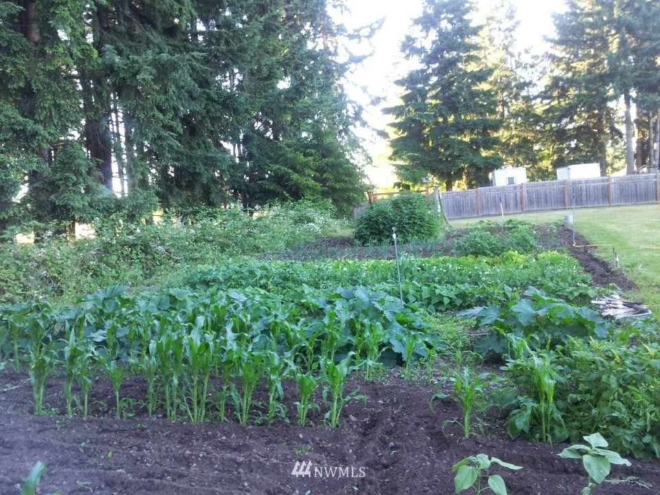 19129 Loganberry Street Southwest Rochester, WA 98579 - Photo 25 of 25 a view of backyard with green space