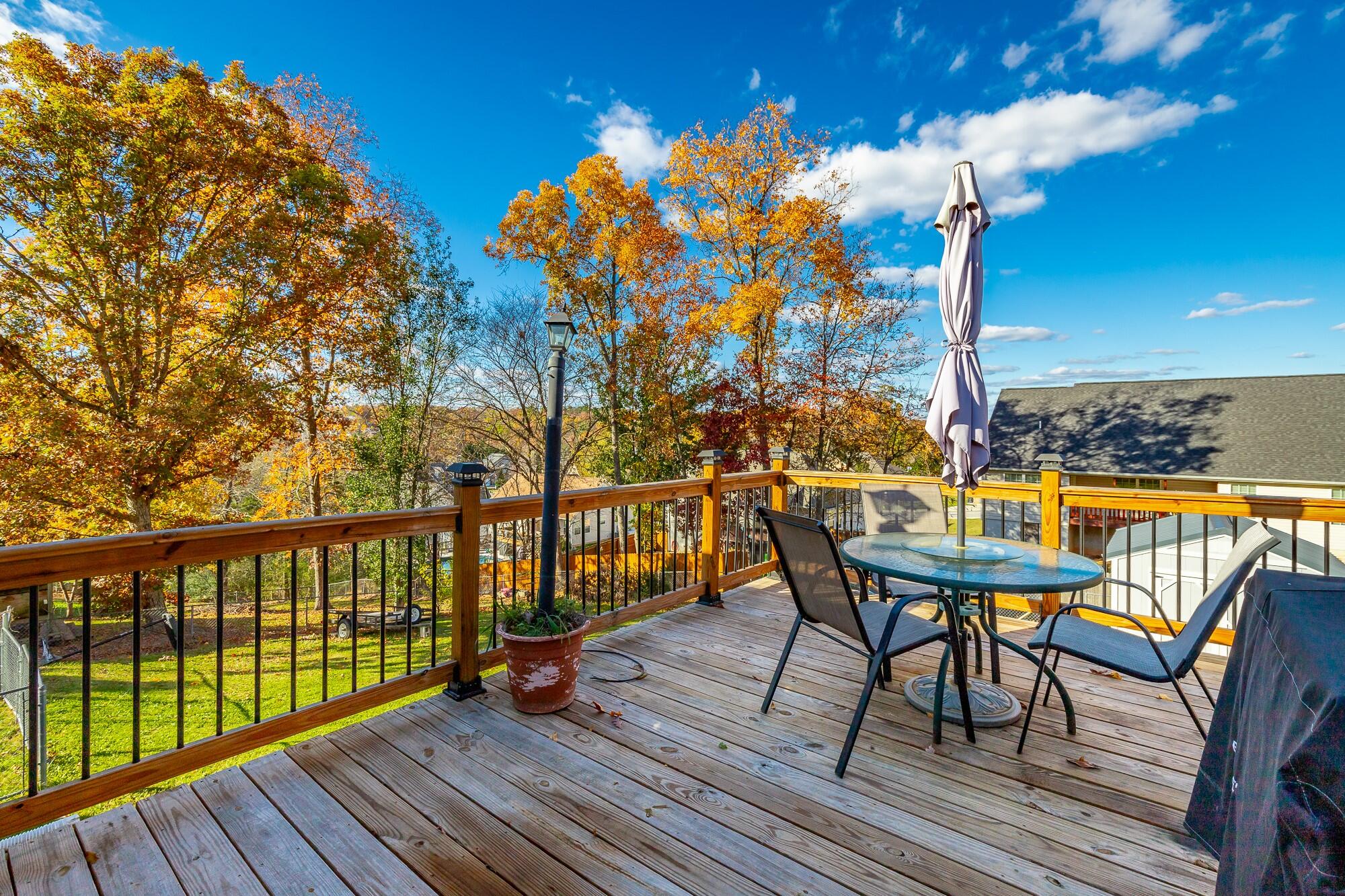 207 Smoketree Circle Ringgold, GA 30736 - Photo 10 of 31 207 Smoketree Circle HD-18