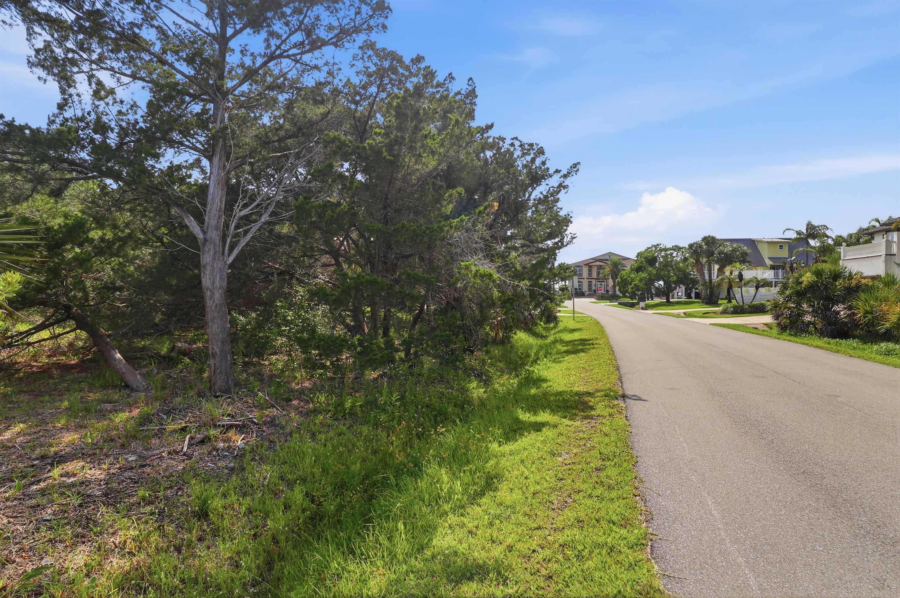 203 Sea Turtle Way St. Augustine, FL 32084 - Photo 10 of 22 a view of a road with a yard