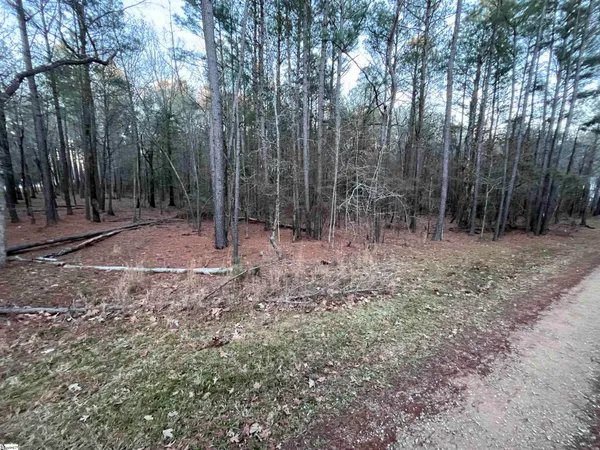 $125,000 | 0 Hollands Landing Road, Prosperity, SC 29127