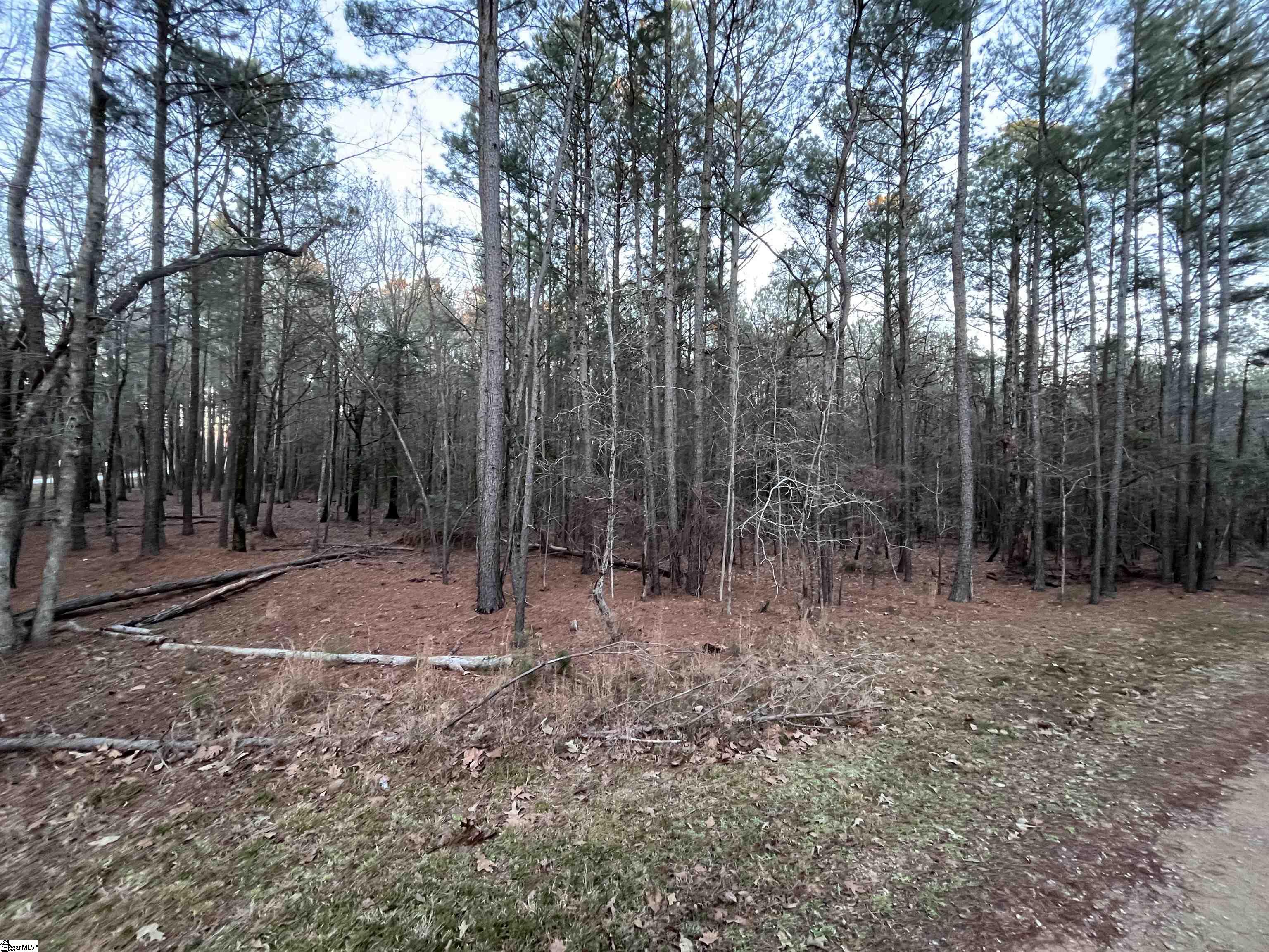 0 Hollands Landing Road Prosperity, SC 29127 - Photo 14 of 14