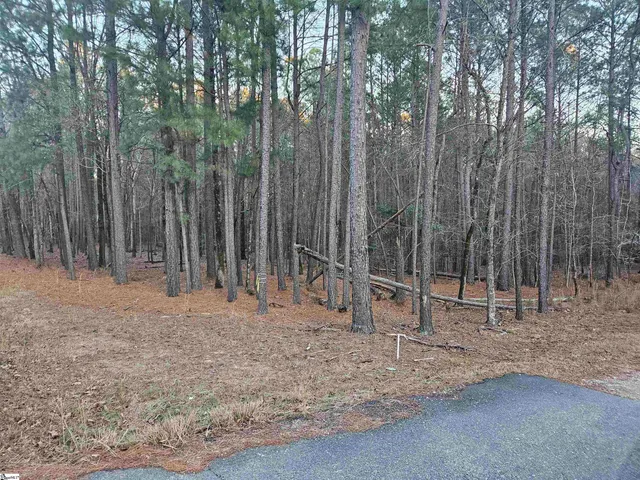 $159,000 | 0 Hollands Landing Road, Prosperity, SC 29127