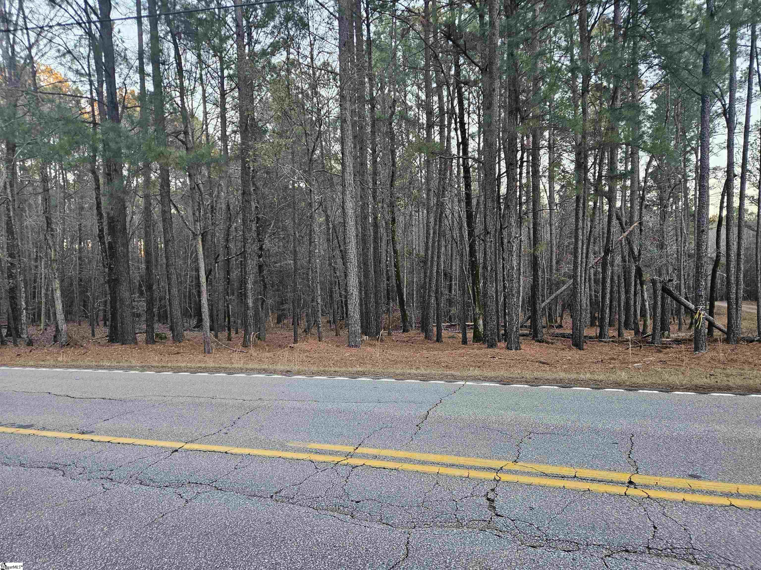 0 Hollands Landing Road Prosperity, SC 29127 - Photo 3 of 14