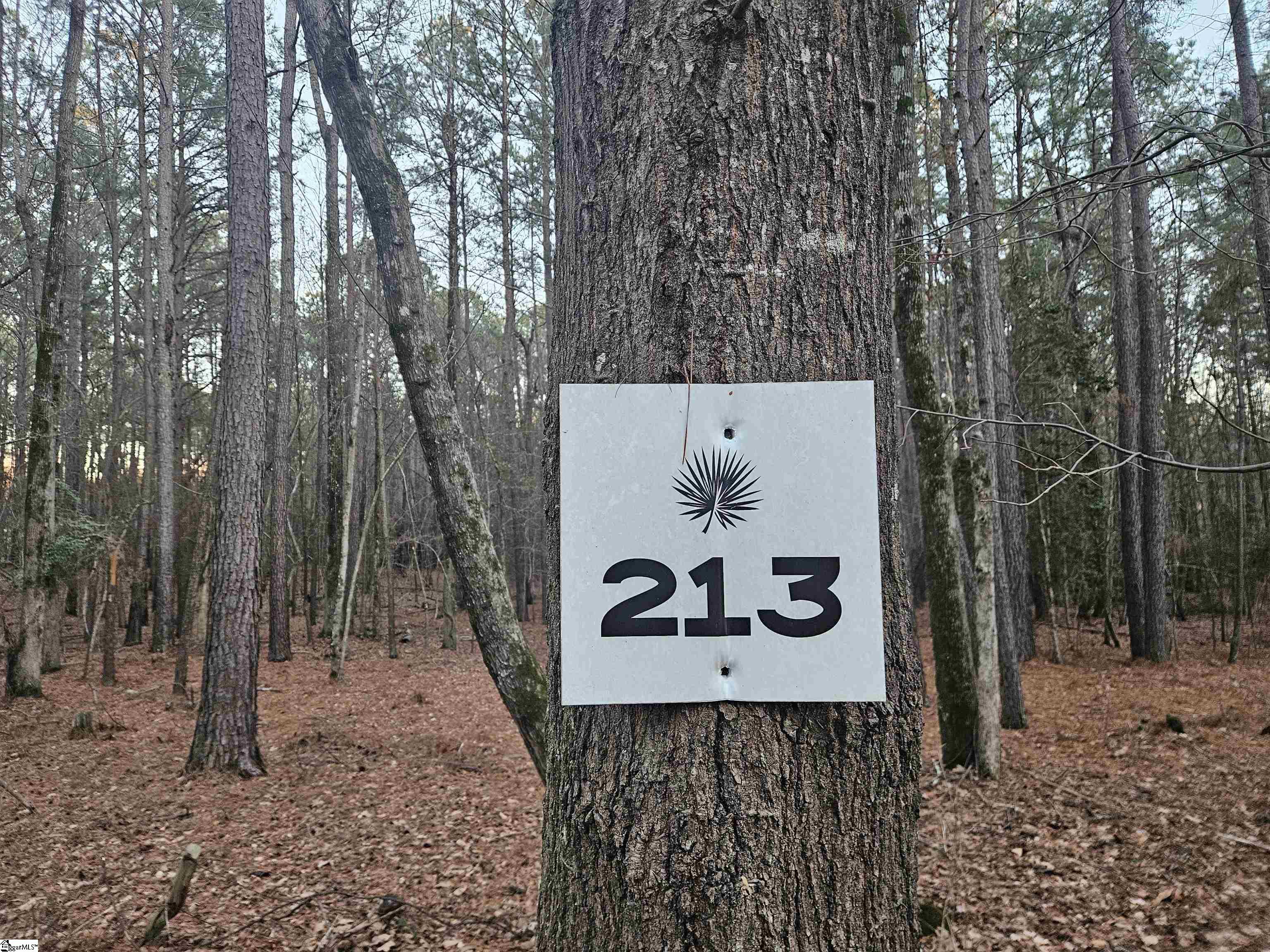 0 Hollands Landing Road Prosperity, SC 29127 - Photo 4 of 14