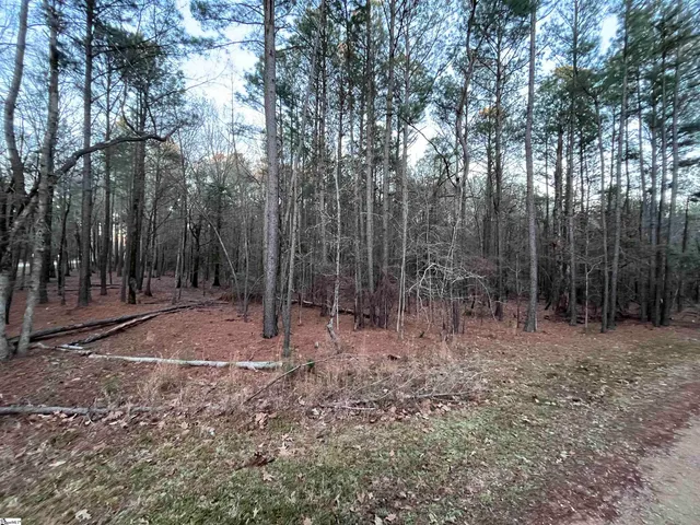 $159,000 | 0 Hollands Landing Road, Prosperity, SC 29127