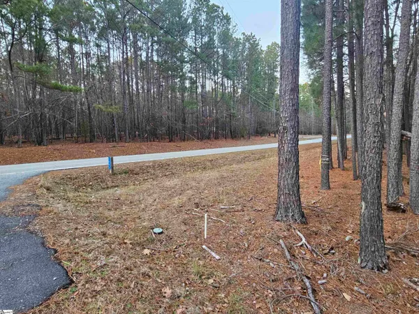 $125,000 | 0 Hollands Landing Road, Prosperity, SC 29127