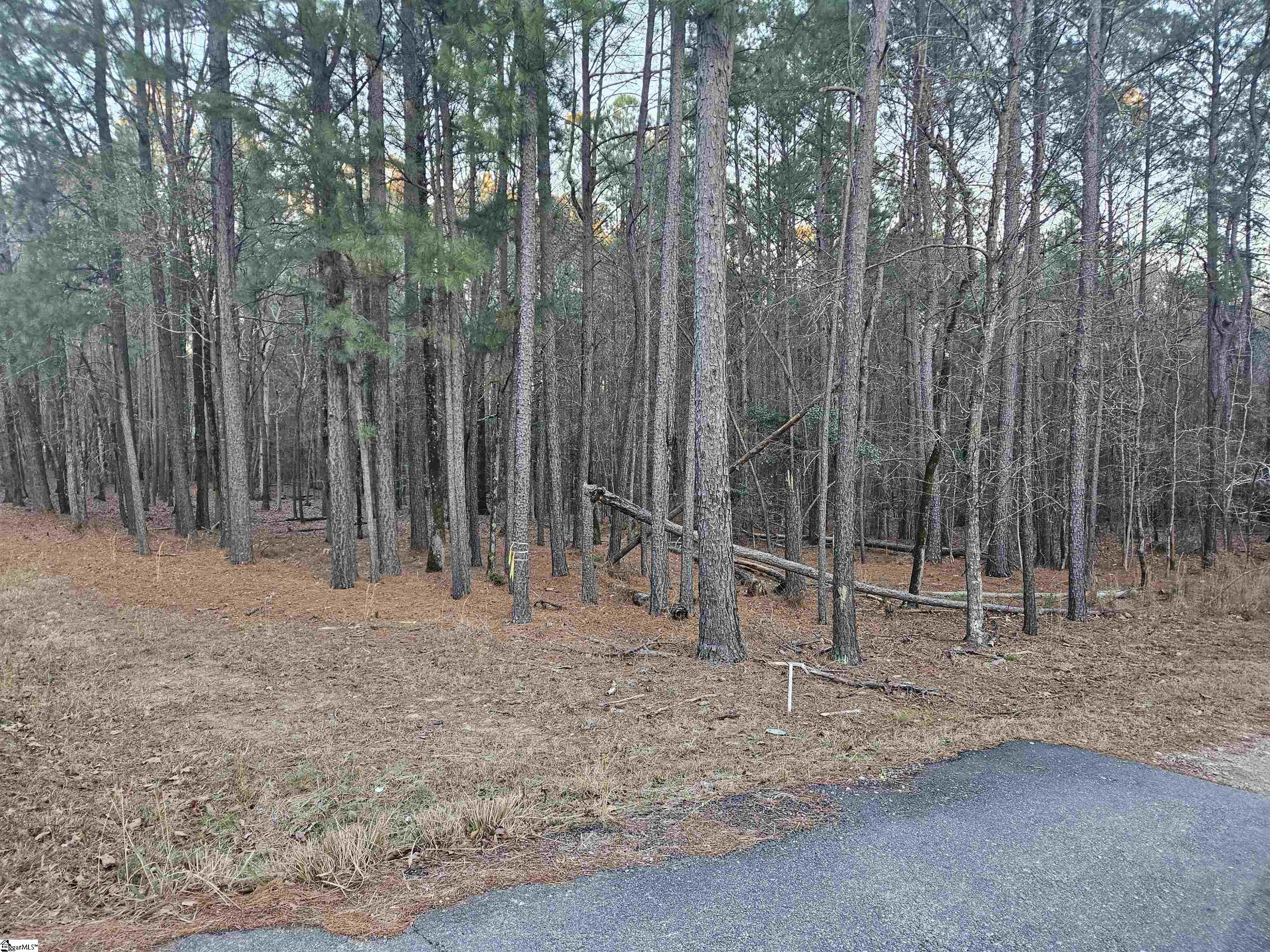 0 Hollands Landing Road Prosperity, SC 29127 - Photo 10 of 14