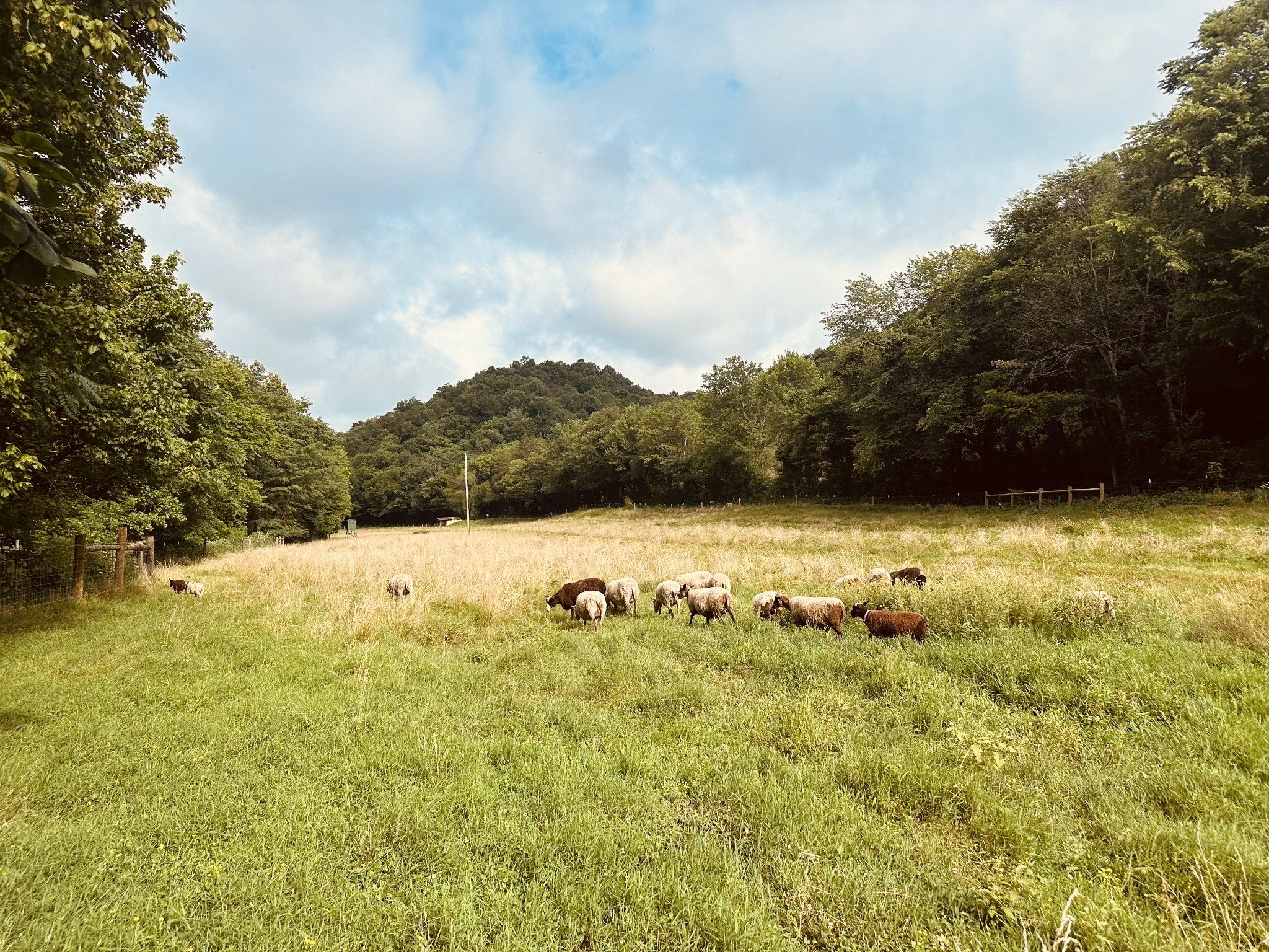 1611 Knob Creek Road Celina, TN 38551 - Photo 33 of 48