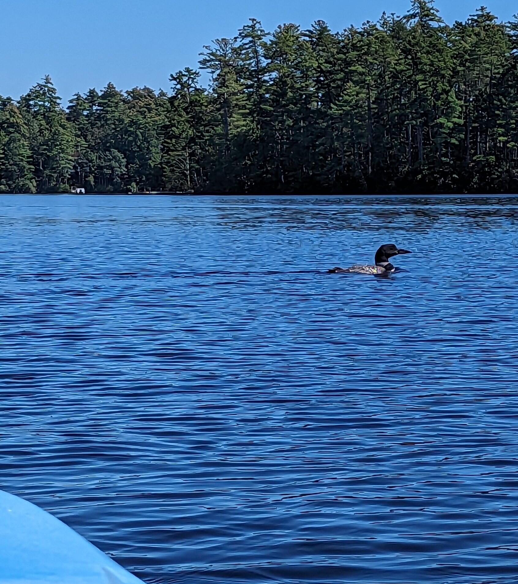 4 Watchic Road 15 Standish, ME 04084 - Photo 63 of 75 PXL_20230917_171340703