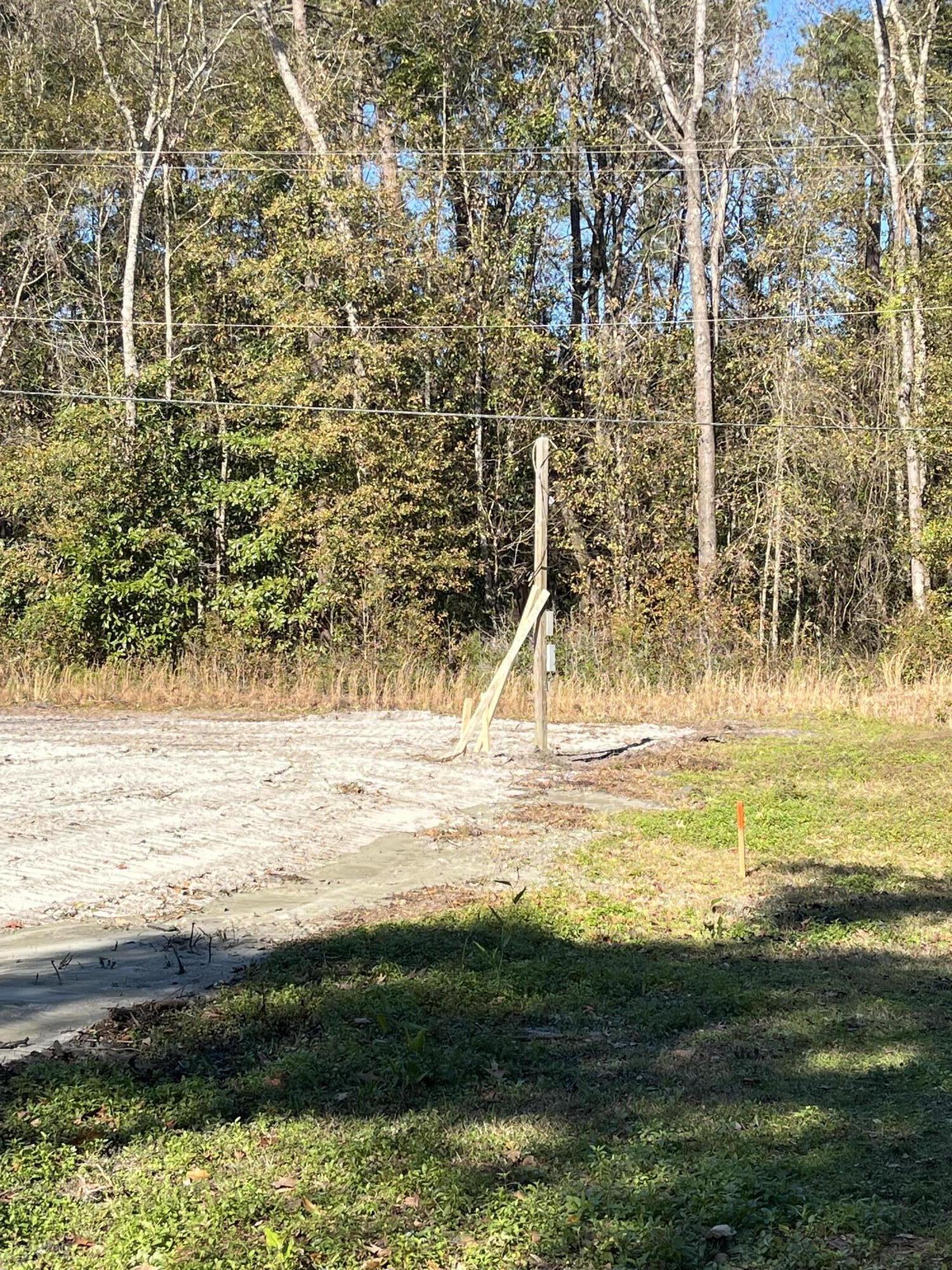 6224 Martin Street Ravenel, SC 29470 - Photo 5 of 7 IMG_2783